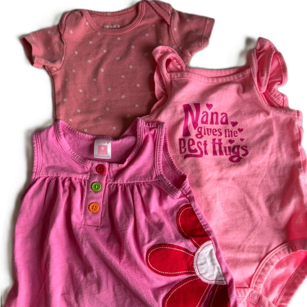 Baby Girl 9M Springtime Pink Bundle Spring Bodysuits and Top Flowers